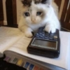 أجواء حزينة (njt3d4kxz2)