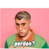Bad bunny (brck9yxvpm)
