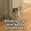 🌈 Gatitos para responder 1 🐈 (jdvc2prwsk)