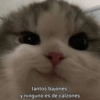 Memes De Michis (y3rts5q4cg)