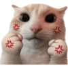 Meme Kucing Imut #4