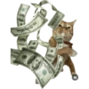 Meme Kucing Lempar 😾