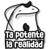 💢Flork Random Memes💯 (v5mf8rt7wz)