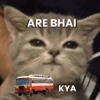 HINDI MEME (rqby9sfgzc)