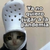 Gatitos SAD 😞 1 (rtbcw3sxd4)
