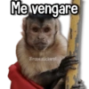 قردة لك 🐒🍌🌴 (p2d45bs7nt)
