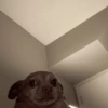 مزيد من ردود الفعل #3 👻 (8yjr64m2df)