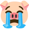Emoji iPhone Pig 🐷 (q5n48cypjg)