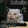 🧿Jefecito🥲🤧 (3hp9s25cqj)