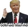 DONALD TRUMP NON VEG