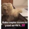 ميمز بوم بوم 18+ (cy6j7xpf2r)