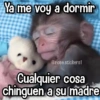 قردة لك 🐒🍌🌴 (mczhkf75qb)