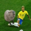 Neymar Jr⚽️ (5wmpscv7kr)