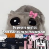 Rata triste Hámster Meme 🐹 (8t7zxn425h)
