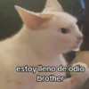 Reacciones TikTok vol.7 