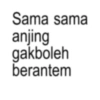 Meme kata kata (d7wy3h54fc)