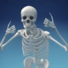 هيكل عظمي 💀 (3mnygf7ch9)