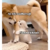 ميمز بوم بوم 18+ (mpbznkxf45)