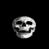 هيكل عظمي 💀 (r3gnkbyd8w)