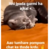 ميمز بوم بوم 18+ (84cbdjk6mg)
