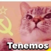 Michitos 2 🐱🐈 (vxgrpd6njh)