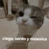 Memes con texto 10🏝️👀 (5xrdzkgfyq)
