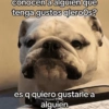 Memes con texto 10🏝️👀 (hvzr4sptby)