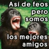 🍫 Día del amigo 🤗 (7zbmqg9yv5)