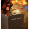 Doggo (yhkwqb23jv)