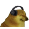 Doggo (wxr4tpqzvy)