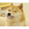 Doggo (jw9v5nm8pg)