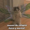 Memes con texto 10🏝️👀 (v98ky4ng7q)