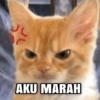 Stiker miaw (myjfv69wkr)