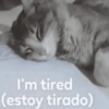 Memes con texto 10🏝️👀 (d58yncbgwx)