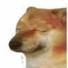 Doggo (nbh8fpmtk3)