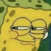 Spongebob & Patrick (739vnxcht8)