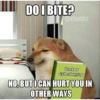 Doggo (tvqrzj9c8k)
