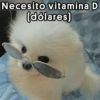 😎 Pal Grupo 🤠 (3pdwqr4ghc)
