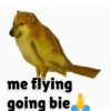 Doggo (j7vg3hzfyn)