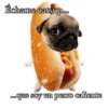 Memes con texto 10🏝️👀 (xfhsbz82j4)