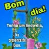 Bom dia ☀️ (6q5ds3fgnp)