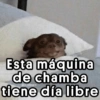 😎 Pal Grupo 🤠 (8csrzmvdqn)
