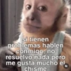 Memes con texto 10🏝️👀 (2mwn5rktd4)