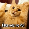 Funny Reacciones habladas  🐈🐕 (k6xwsjf938)