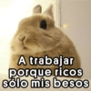 😎 Pal Grupo 🤠 (5ndybzqxgh)