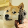 Doggo (rz6h7pjgtq)