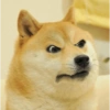 Doggo (p8d47fy6tq)