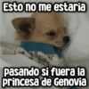 Memes con Frases #1🧠 (w3tshb5c4r)