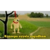 Cheems Telugu 5.0 (zsyk5cqfj2)
