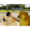 Doggo (p7xwngm6c9)